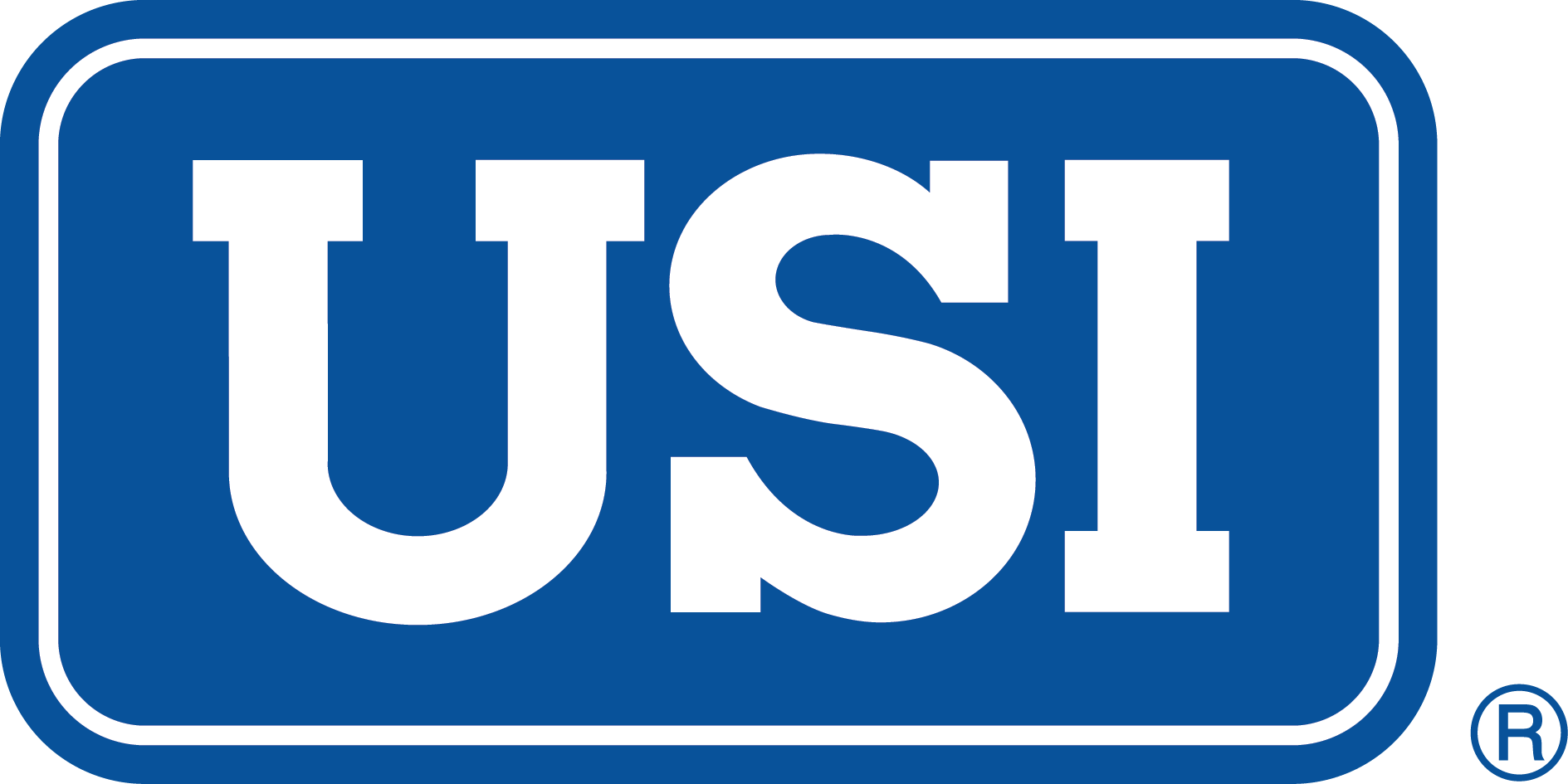 USI Logo_CMYK_PNG.png